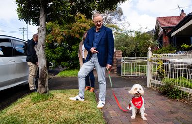 The new Prime Minister Anthony Albanese, partner Jodie Haydon and dog Toto walking out of his Marrickville house. 22nd May 2022.