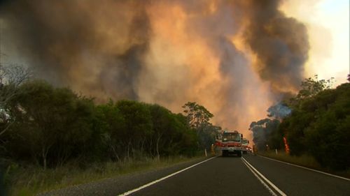 The fires are sending plumes of smoke billowing through the Royal National Park. (9NEWS)