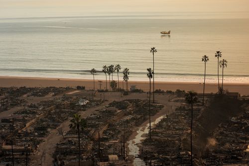 Pacific Palisades fire  