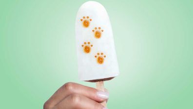 Paddle Pop brings back choc mint paw print