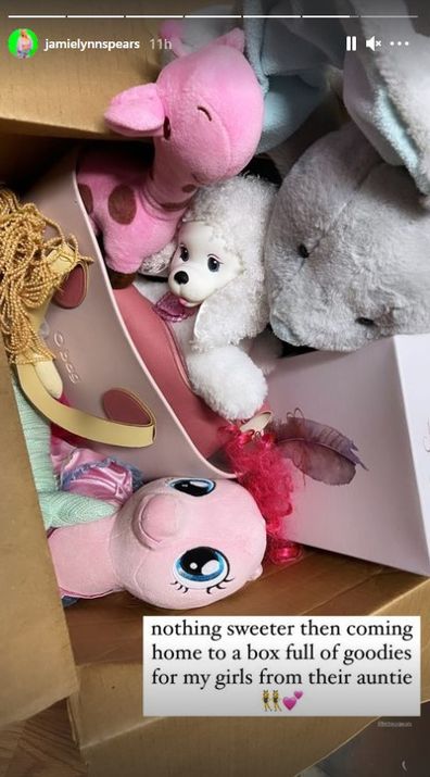 Britney Spears sent sister Jamie Lynn Spears this care package for her kids.