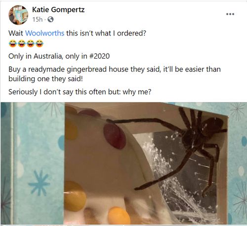 Spider Sydney: Mum finds giant huntsman spider in Christmas