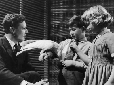 David Attenborough with a young Prince Charles and Princess Anne at Lime Grove Studios on January 4, 1958. 