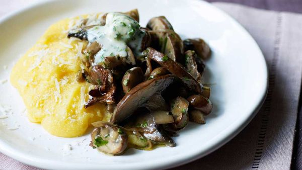 Mushroom, mascarpone and polenta bake. Image: Kyle Books