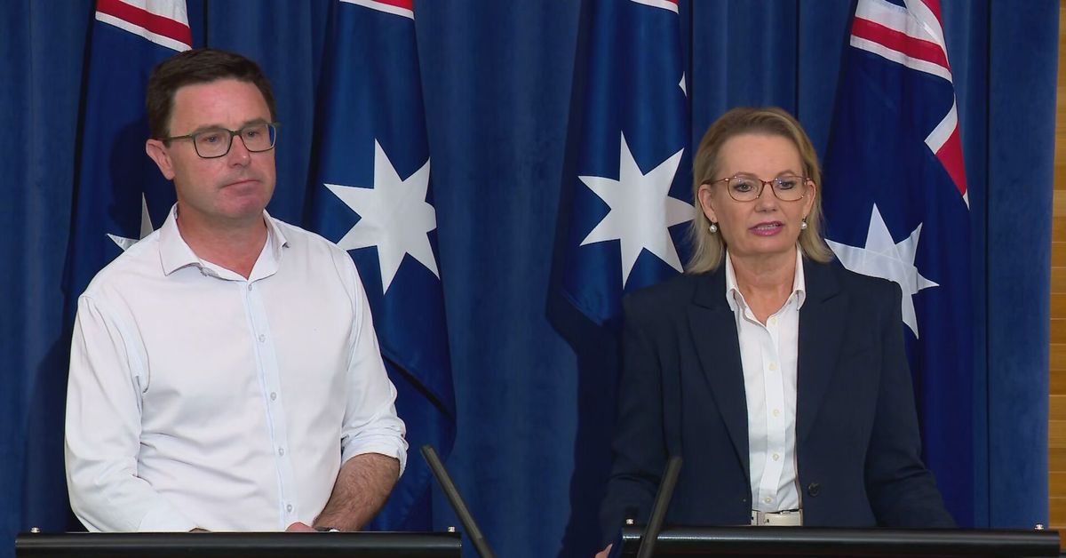 Coalition confirms it has reunited following bitter split over hate speech laws