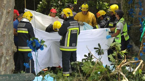 Firefighters hold a blanket as bodies are removed from the scene where a tree fell on a large crowd on the outskirts of Funchal, the capital of Madeira island. (AAP)