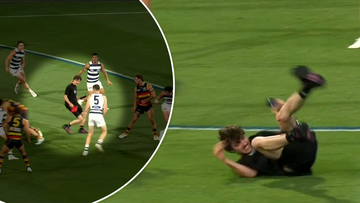 Pitch invader banned from Adelaide Oval for three years