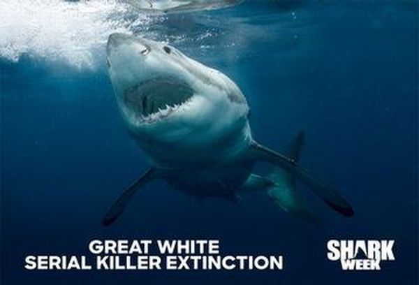 Great White Serial Killer Extinction