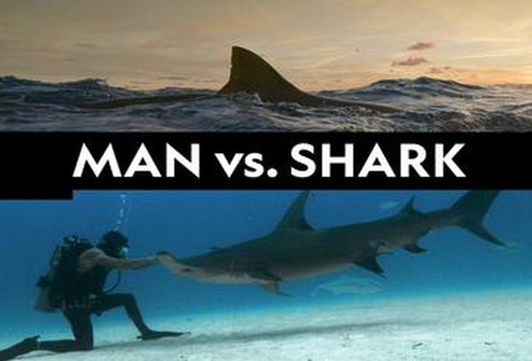 Man vs Shark