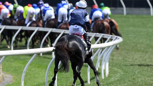 Irish horse, The Cliffsofmoher, was euthanised trackside after suffering a fractured right shoulder within the first 600 of the Melbourne Cup race.