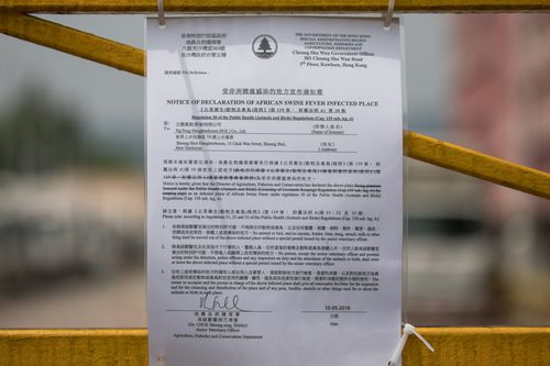 A 'Notice of declaration of African Swine Fever Infected Place' sign is displayed on the gate of the government-owned Sheung Shui Slaughterhouse in Hong Kong, China.