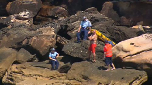 Man killed after falling off cliff in Sydney