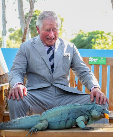 Prince Charles in the Cayman Islands, March 2019