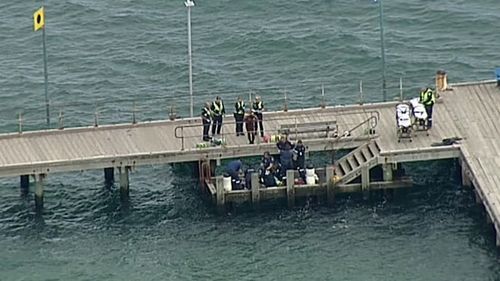 A diver has been struck and killed by a boat near Frankston.