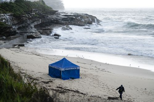 Woman's body washes up on popular Sydney beach