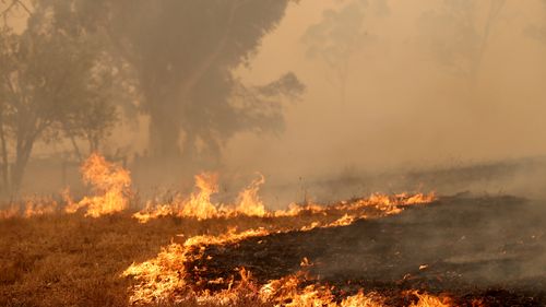 Two bushfires are burning out of control around the Adelaide Hills, prompting emergency warnings from the Country Fire Service. (AAP Image/Kelly Barnes)