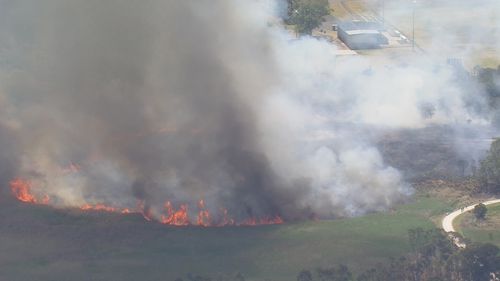 Les équipes luttent contre un incendie d'herbe à Penrith, dans l'ouest de Sydney.