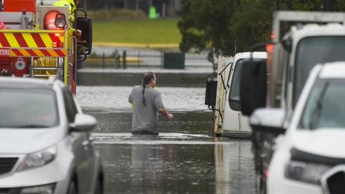 A man wades through flood waters back to his home from a fire truck at Windsor on the outskirts of Sydney.