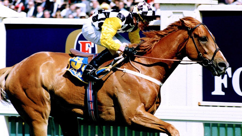 Champion racehorse Saintly dies aged 24