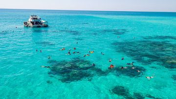 Snorkelling at Upolo Cay, part of the Great Barrier Reef