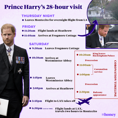 Prince Harry 28 hour visit to UK