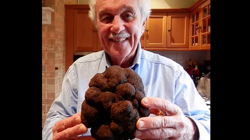 'Freak of nature' truffle breaks Aussie record