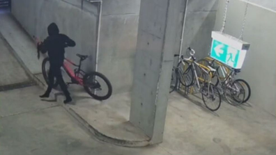 Luke Hines Melbourne electric bike garage theft