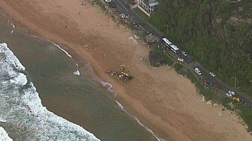Palm Beach is located north of Sydney. (9NEWS)