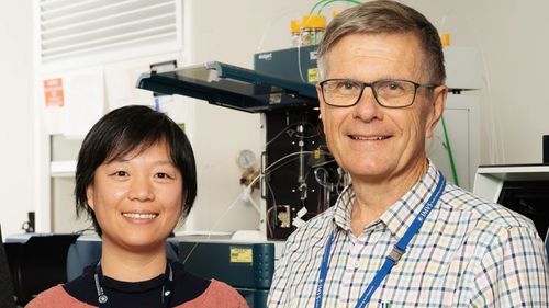 Flinders University researchers Dr Jing Jing Wang and Flinders Professor Tom Gordon.