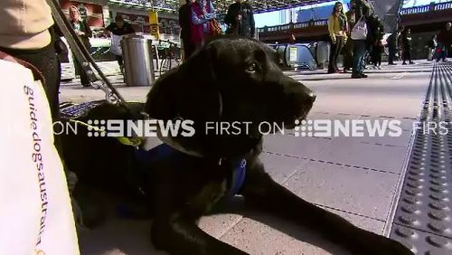 Ms Hales says it's not the first time her guide dog has been refused into a taxi. (9NEWS)