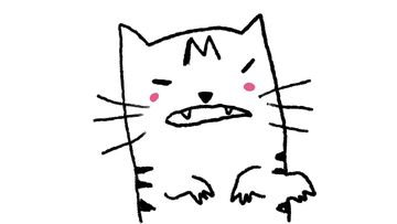 Li&#x27;s Twitter profile image is a doodle of his tabby cat.