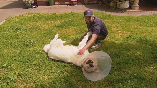 Alfredo with his owner Ettore.