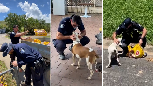 Queensland Police feed flood effected dogs