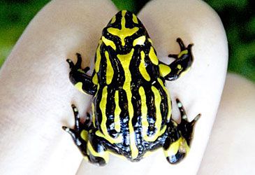 What is the EPBC Act conservation status of the southern corroboree frog?