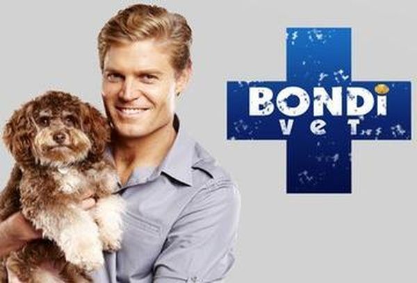 Bondi Vet