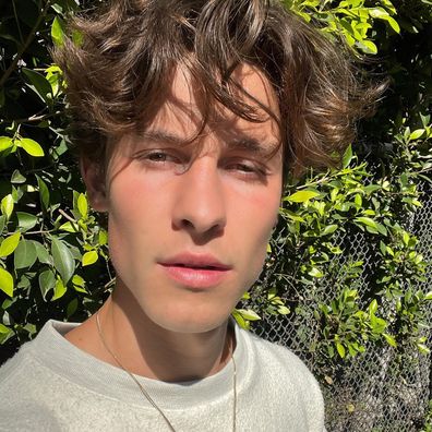 Vocalist Shawn Mendes assures fans he's okay after emotional note about 'drowning'.