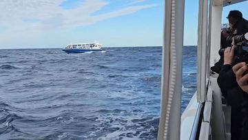 Another tourism operator, Whale Watch Queensland, watched the incident unfold and came to the tourist&#x27;s aid.