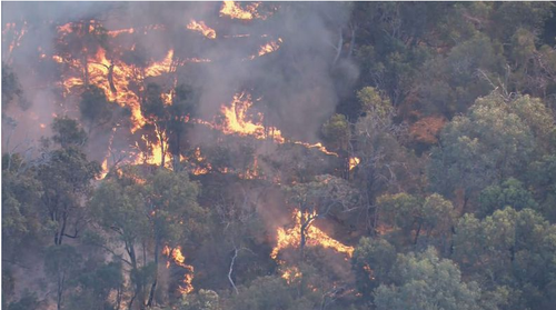 A bushfire that erupted in Kings Park, Perth, on October 24. (9News)