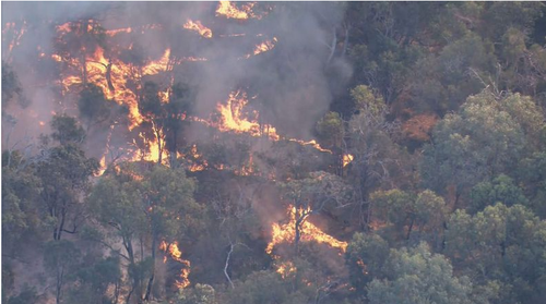 Un feu de brousse qui a éclaté à Kings Park, à Perth, le 24 octobre. (9Actualités)