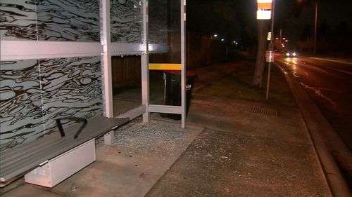 The youths smashed the window of a police vehicle and caused significant property damage in the area. Picture: 9NEWS.