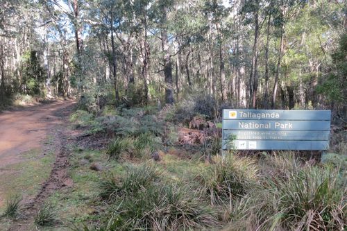 The mother and son were found on a remote fire trail in the Tallaganda National Park.