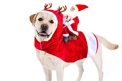Amazon outfit for dog complete with Santa riding his reindeer