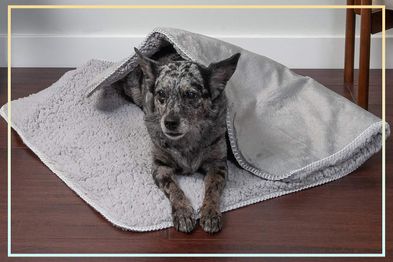 9PR: Furhaven Self-Warming  Dog Blanket, Silver Grey