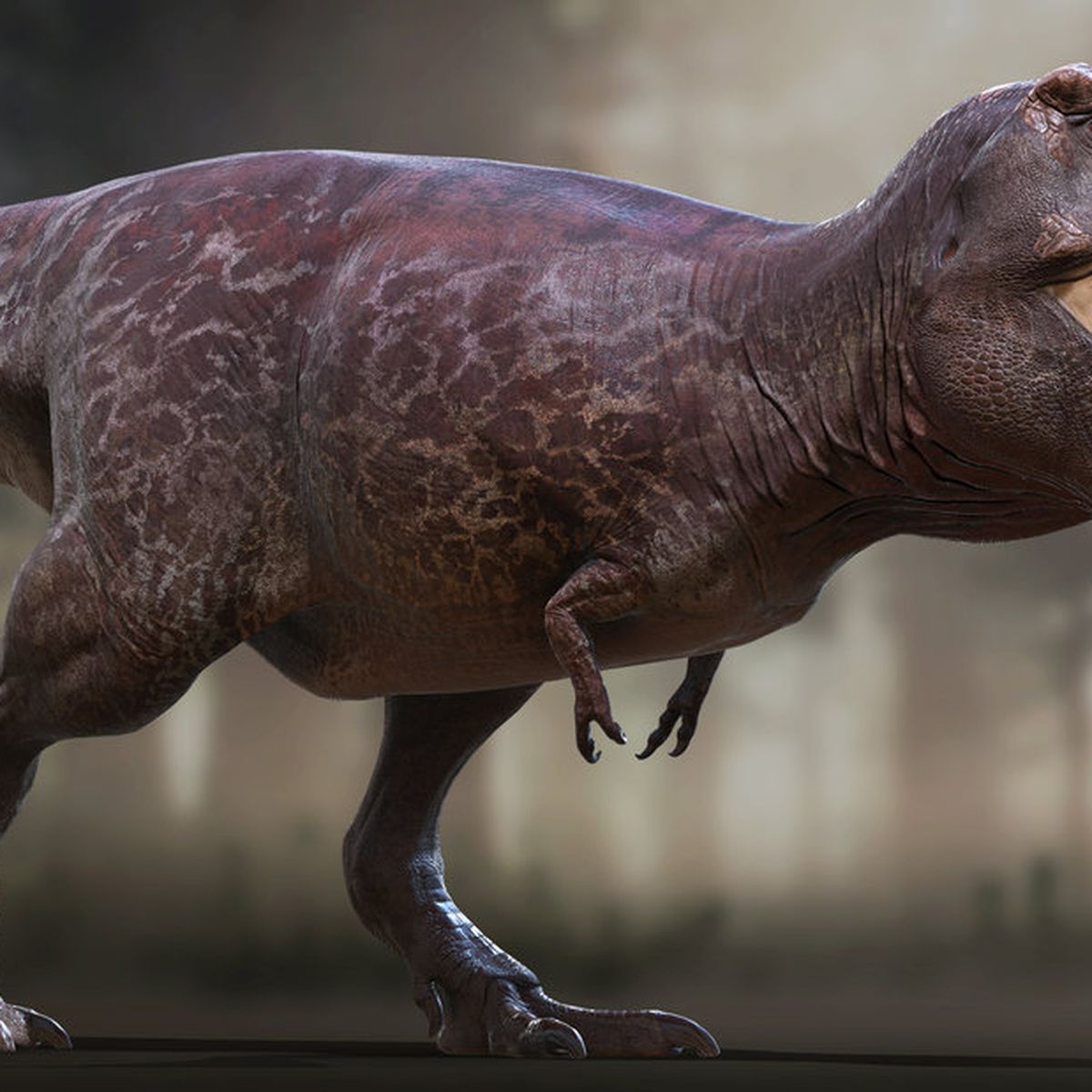 T. rex could have been 70% bigger than fossils suggest, new study shows