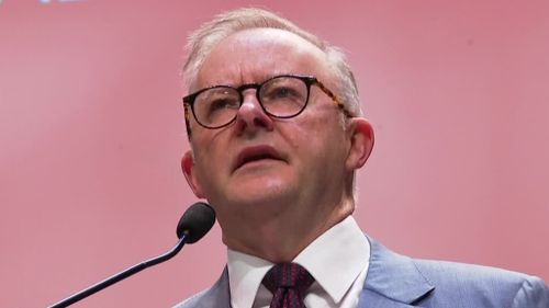 Anthony Albanese says Australians won't be going to the polls in 2023 - 9News