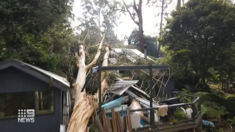 Victoria storms: Thousands of homes still without power in Dandenongs as  ADF called in to assist with clean-up