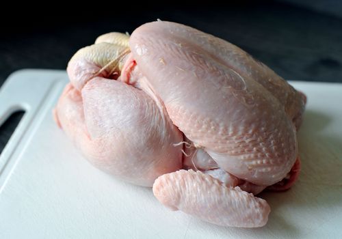 A new study has revealed raw chicken might not be great for your dog. (AAP)