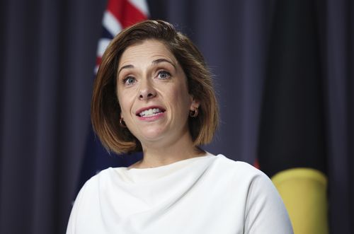 Ministro dos Cuidados idosos e Ministro do Esporte Anika Wells durante uma conferência de imprensa na Parliament House em Canberra na segunda -feira, 25 de novembro de 2024. Fedpol Foto: Alex Ellinghausen