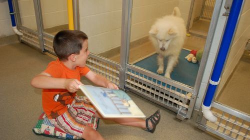 US children are reading to shelter dogs to ready them for their forever homes
