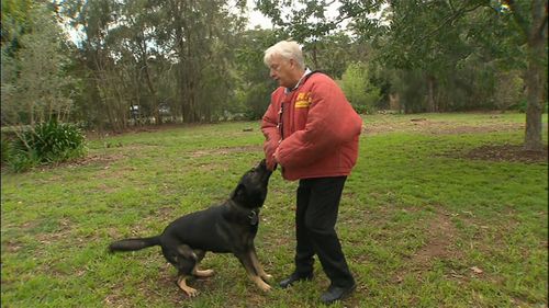 Canine expert Steve Austin has demostrated how struggling away from an attacking dog will only "initiate" the animal further to continue biting (Supplied).